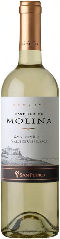 Вино "Castillo de Molina" Sauvignon Blanc Reserva, Valle de Casablanca, 2012