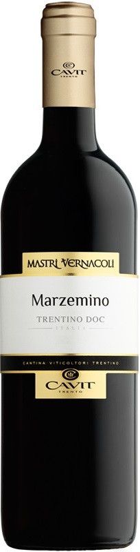 Вино "Mastri Vernacoli" Marzemino, Trentino DOC, 2016