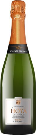 Игристое вино Bodegas Vicente Gandia Hoya de Cadenas Cava Reserva Brut белое брют 0.75 л фото 1
